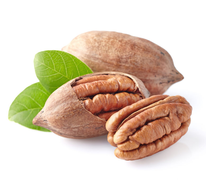 نهال گردو پیکان